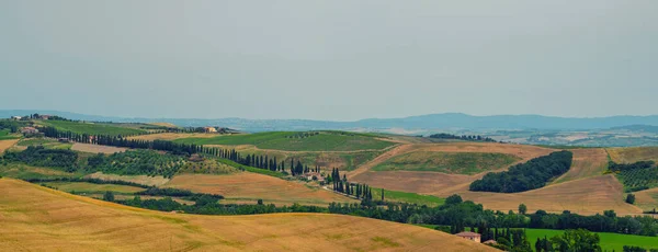 Paisajes Paisajes Tradicionales Hermosa Toscana Campos Colores Dorados Cipreses Vacaciones —  Fotos de Stock
