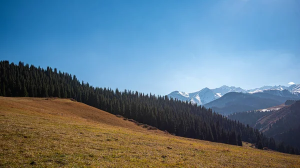 Wspaniały Krajobraz Górski Zachmurzonym Niebem Panorama Pięknej Wsi Wspaniała Jesień — Zdjęcie stockowe