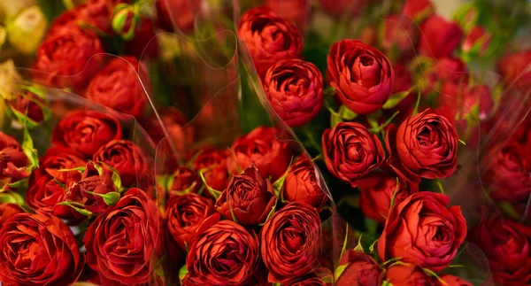 Prachtige Boeketten Van Rode Rozen Een Bloemenwinkel Achtergrond Het Volledige — Stockfoto