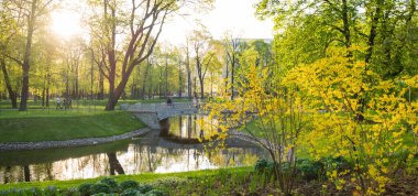 Seçici Odaklanma. Saint Petersburg, Rusya 'da kanal göleti manzarası.