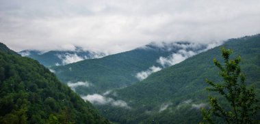 Seçici odaklanma. Dağlarda ve bulutlarda bahar sabahı. Ağaçlı atmosferik manzara ve bulutlu gökyüzünde alçak bulutlar. Muhteşem dağ manzarası..