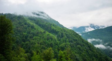 Seçici odaklanma. Dağlarda ve bulutlarda bahar sabahı. Ağaçlı atmosferik manzara ve bulutlu gökyüzünde alçak bulutlar. Muhteşem dağ manzarası..