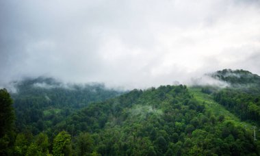 Seçici odaklanma. Dağlarda ve bulutlarda bahar sabahı. Ağaçlı atmosferik manzara ve bulutlu gökyüzünde alçak bulutlar. Muhteşem dağ manzarası..
