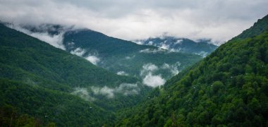 Seçici odaklanma. Dağlarda ve bulutlarda bahar sabahı. Ağaçlı atmosferik manzara ve bulutlu gökyüzünde alçak bulutlar. Muhteşem dağ manzarası..