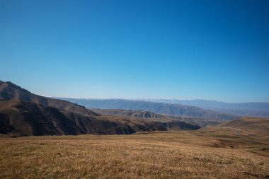 Sonbahar manzarası, dağların yamacında parlak sarı çimenler. Uzakta karla kaplı dağ zirveleri. Harika manzaralı bir arka plan. Doğadaki renk.