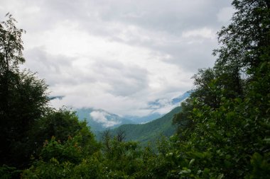 Dağlarda ve bulutlarda bahar sabahı. Ağaçlı atmosferik manzara ve bulutlu gökyüzünde alçak bulutlar. Muhteşem dağ manzarası..