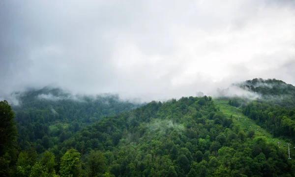 有选择的重点 春天的早晨 山和云 在多云的天空中 有树木和低云的大气景观 美丽的山景 — 图库照片