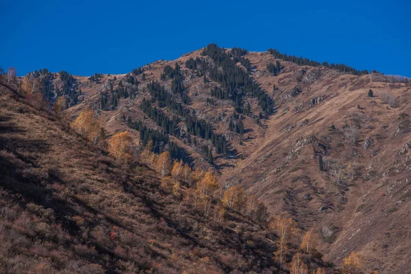 Φθινόπωρο Τοπίο Όμορφα Χρωματιστά Δέντρα Στα Βουνά Υπέροχο Γραφικό Φόντο — Φωτογραφία Αρχείου