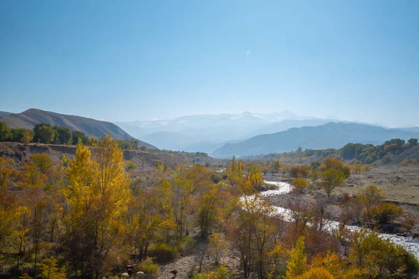 Удивительный Пейзаж Горной Долины Небольшой Рекой Бурным Ручьем Красочными Осенними — стоковое фото