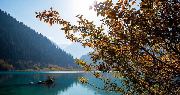 Muhteşem bir sabah panorama dağları gölü. Resimli sonbahar gündoğumu. Doğa konseptinin güzelliği. Dağ manzarası, göl ve dağ sıraları, Altai.