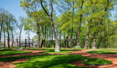 St Petersburg Rusya Yaz bahçesi.