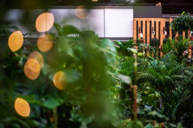 Bulanık görüntü. Bir çiçekçi dükkanının içinde bir sürü farklı modern şekil nesneler ve çiçekler var..