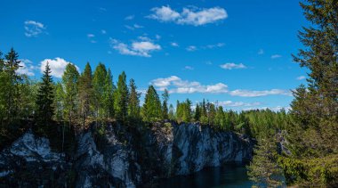 Vahşi doğada kuzey doğası. Pines göl kıyısında. Çevre turizmi, seyahat ve güzel yerlerin keşfi.