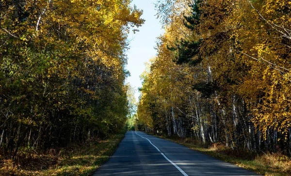 Φθινόπωρο Επαρχιακός Δρόμος Μέσα Από Πολύχρωμα Δέντρα Ρουστίκ Ρετρό Ατμοσφαιρικό — Φωτογραφία Αρχείου