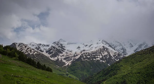 遠くに雪と山の明るい風景帽をかぶった山の峰 緑の芝生とモミの木で覆われた険しい岩の山 — ストック写真