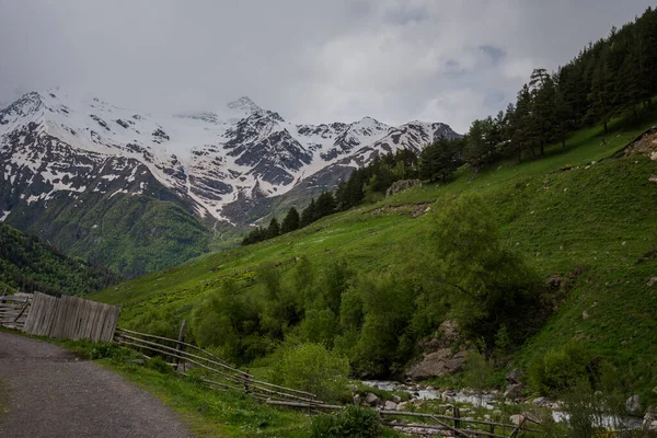 Resmedilmeye değer dağ manzarası. Arka planda küçük bir nehir ve Kafkas sırtı var. Yeşil çimenler ve karlı tepelerle dolu bahar günü.