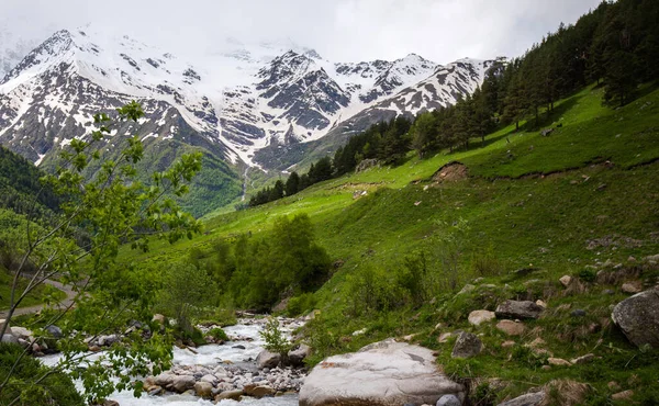 遠くに雪と山の明るい風景帽をかぶった山の峰 緑の芝生とモミの木で覆われた険しい岩の山 — ストック写真