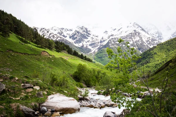 风景如画的山水 背景是一条小河和一条高加索山脊 春天的一天 绿油油的草地 白雪覆盖的山峰 — 图库照片