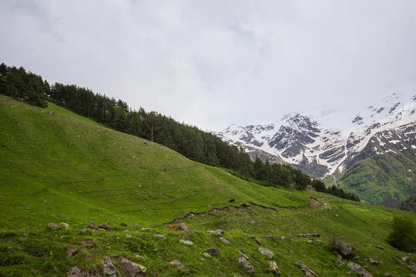Pittoresco Paesaggio Montano Con Piccolo Fiume Cresta Caucasica Sullo Sfondo — Foto Stock