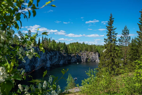 Vahşi doğada kuzey doğası. Pines göl kıyısında. Çevre turizmi, seyahat ve güzel yerlerin keşfi.