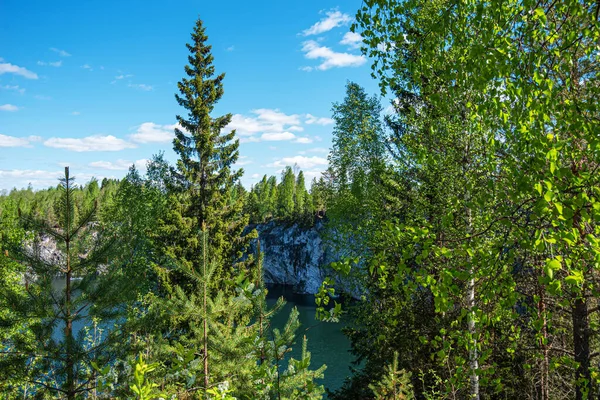 Vahşi doğada kuzey doğası. Pines göl kıyısında. Çevre turizmi, seyahat ve güzel yerlerin keşfi.