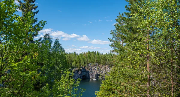 Vahşi doğada kuzey doğası. Pines göl kıyısında. Çevre turizmi, seyahat ve güzel yerlerin keşfi.