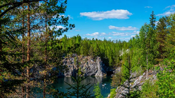 Vahşi doğada kuzey doğası. Pines göl kıyısında. Seyahat ve güzel yerlerin keşfi