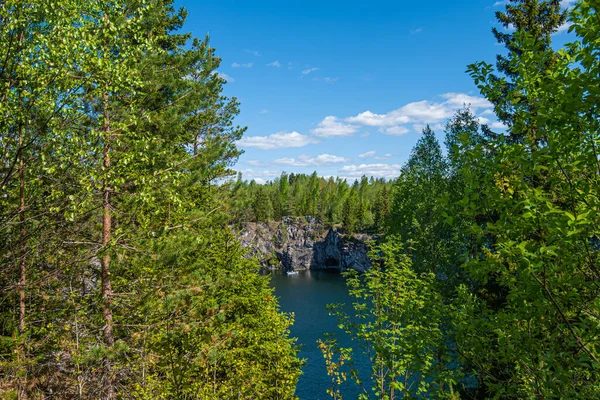 Vahşi doğada kuzey doğası. Pines göl kıyısında. Çevre turizmi, seyahat ve güzel yerlerin keşfi.