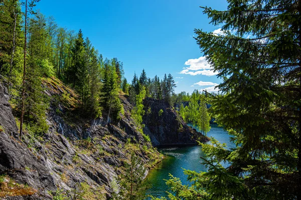 Vahşi doğada kuzey doğası. Pines göl kıyısında. Seyahat ve güzel yerlerin keşfi