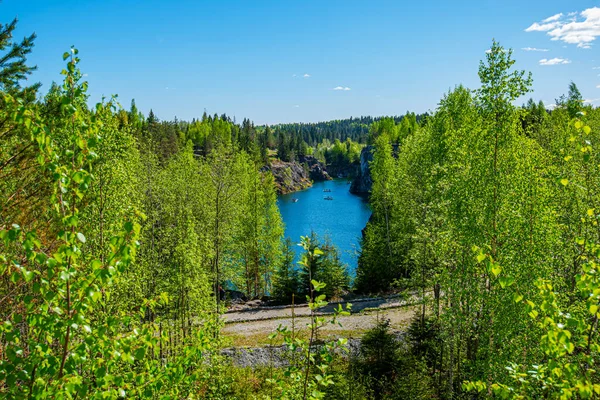 Vahşi doğada kuzey doğası. Pines göl kıyısında. Seyahat ve güzel yerlerin keşfi
