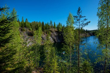 Vahşi doğada kuzey doğası. Pines göl kıyısında. Seyahat ve güzel yerlerin keşfi