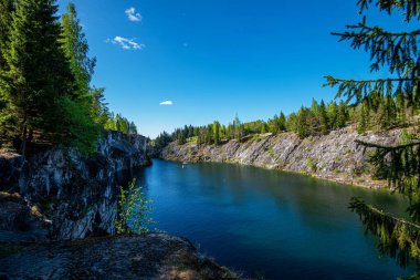 Vahşi doğada kuzey doğası. Pines göl kıyısında. Seyahat ve güzel yerlerin keşfi