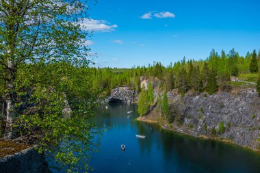 Vahşi doğada kuzey doğası. Pines göl kıyısında. Seyahat ve güzel yerlerin keşfi