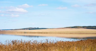Güzel sonbahar manzarası. Göl ve sarı tarlalar. Doğada sonbahar günü. Doğa resmi. Çok güzel bir sahne. Banner Güz manzarası Gölün kıyısında.