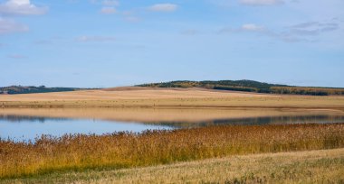 Güzel bir sonbahar düz manzarası, mavi bir göl, kuru sarı çimenler, sazlıklar ve fonda resimli tarlalar. Bulutlu mavi gökyüzü. Gölün mavi sularındaki sazlıklar. Seçici odak.