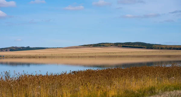 Piękny Jesienny Krajobraz Jezioro Żółte Pola Jesienny Dzień Przyrodzie Obraz — Zdjęcie stockowe