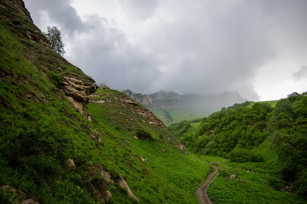 Vackert Vårlandskap Kaukasusbergen Med Lummiga Gräsbevuxna Kullar Och Steniga Sluttningar — Stockfoto
