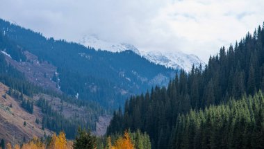 Kozalaklı ve yaprak döken ağaçlı sonbahar manzarası. Uzakta karla kaplı dağlar var. Güzel bulutlu ve gökyüzü olan kır yolu manzarası. Vahşi doğanın güzelliği.