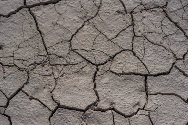 Kuraklık arazisi. Küresel ısınma etkisinden dolayı kuru toprak çatlamış. Kurumuş toprak toprak zemin dokusu. Güneşli kuru toprak mozaik deseni.