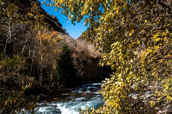 Naturlandschaft Den Bergen Zentralasiens Mit Kleinem Fluss Herbstwald Blauem Himmel — Stockfoto