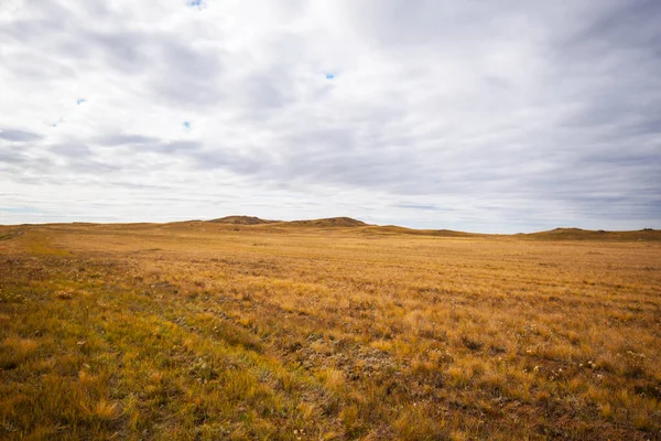 Tibet Plateau scenery. Yellow wild grass against the background of the cloudy sky. A landscape view of the dry hills. Amazing view of a desolate plain on a cloudy day with dry grass in the foreground.
