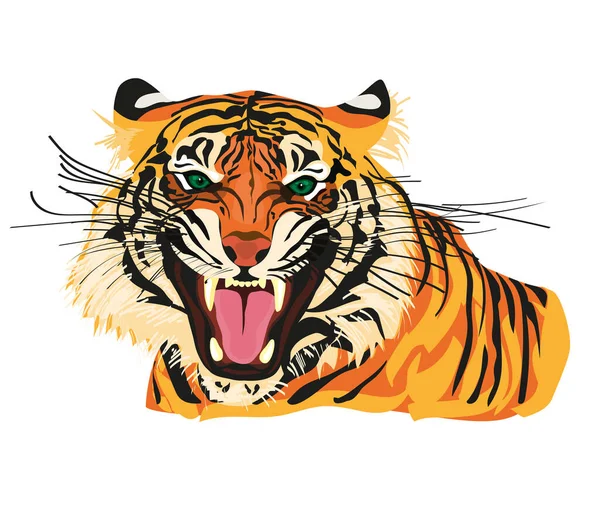 Амурський тигр ізольований на білому тлі. Vector tiger side view Тварина під загрозою зникнення — стоковий вектор