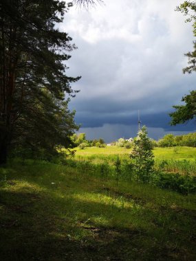 Fırtınadan önce gökyüzü, ormandan manzara, Ukrayna, yaz
