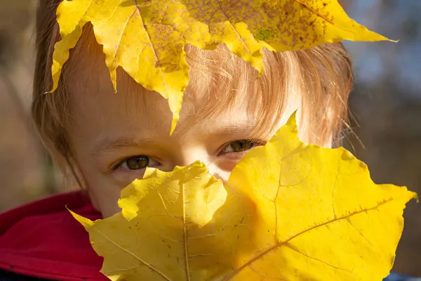 美しい公園に紅葉の小さな男の子 — ストック写真