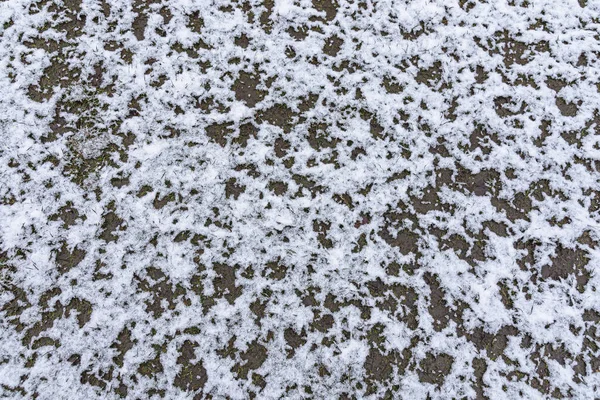 Snow Background Wet Ground — Stock Photo, Image