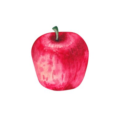 beyaz zemin üzerine suluboya Kırmızı elma