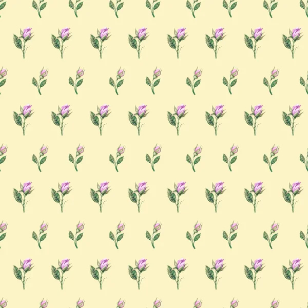 Υδατογραφία μοτίβο με τριαντάφυλλα, μπουμπούκια σε κίτρινο φόντο — Φωτογραφία Αρχείου