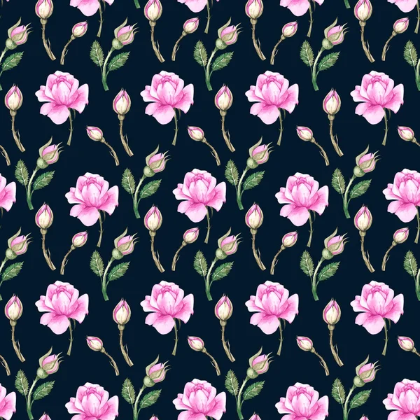 Botaniczny wzór akwareli z różowymi różami i pączkami na niebieskim tle — Zdjęcie stockowe