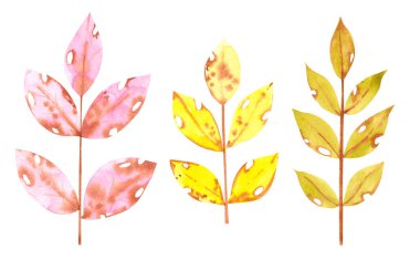 Suluboya sarı yeşil, pembe dallar 5