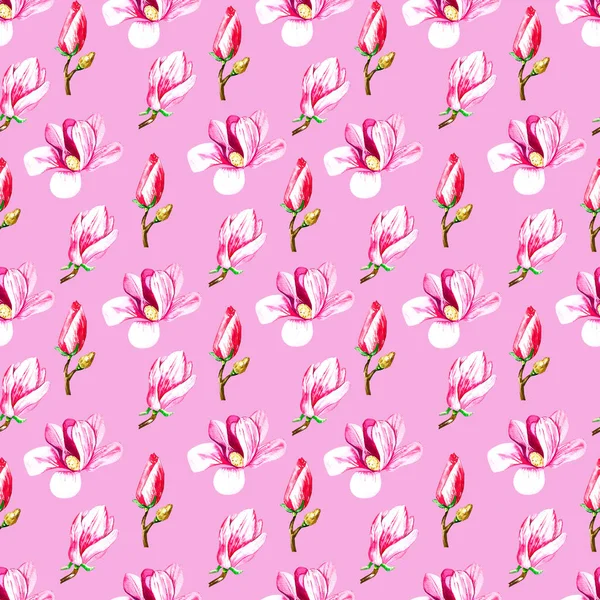 Akvarell minta magnóliák egy rózsaszín háttér 8 — Stock Fotó